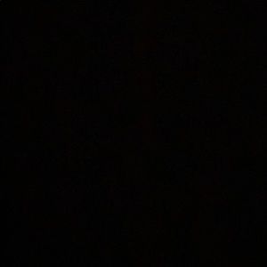 Meet your Posher, Will